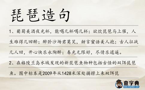 琵琶造句