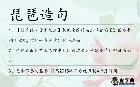 琵琶造句