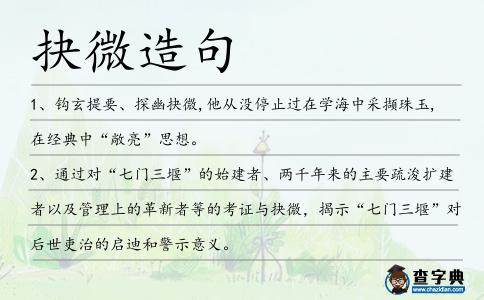 抉微造句
