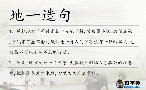 地一造句