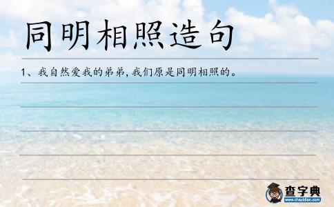 同明相照造句