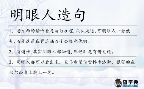 明眼人造句