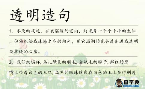 透明造句