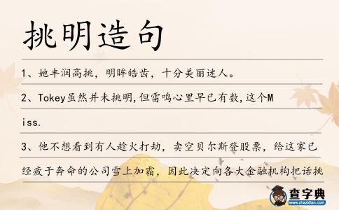 挑明造句