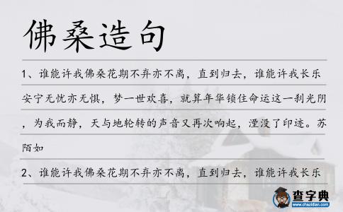 佛桑造句