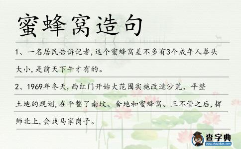 蜜蜂窩造句