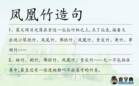 鳳凰竹造句