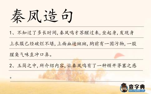 秦鳳造句