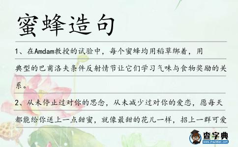 蜜蜂造句