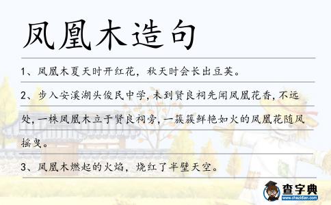 鳳凰木造句