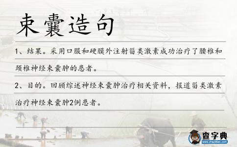 束囊造句