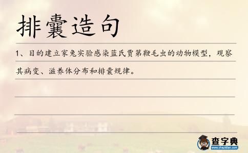 排囊造句