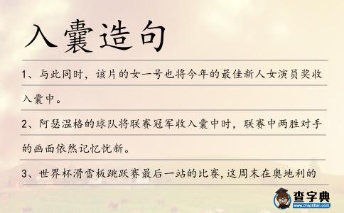 入囊造句