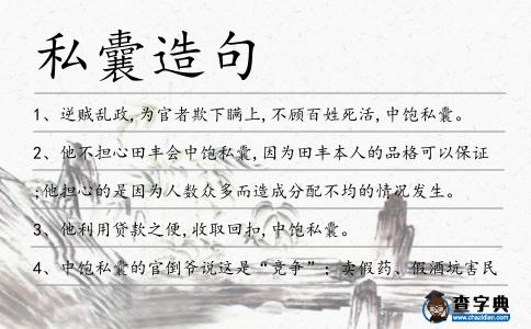 私囊造句