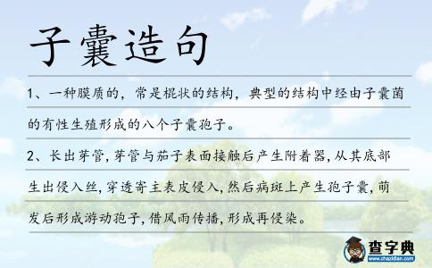 子囊造句