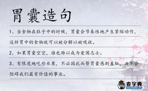 胃囊造句