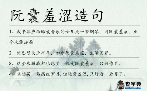 阮囊羞澀造句