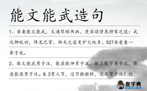 能文能武造句