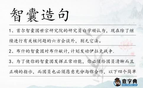 智囊造句