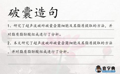 破囊造句