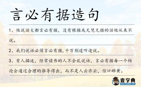 言必有據造句