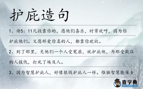護庇造句