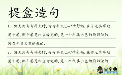 提盒造句