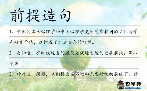 前提造句