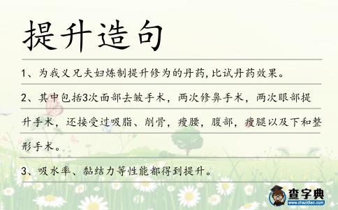 提升造句