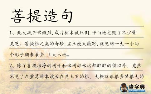 菩提造句