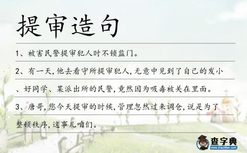 提審造句