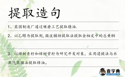 提取造句