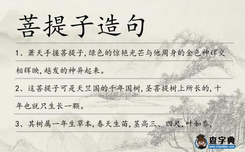菩提子造句