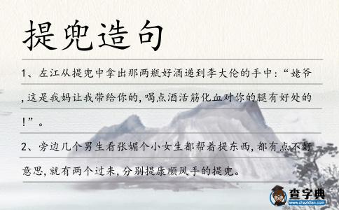 提兜造句
