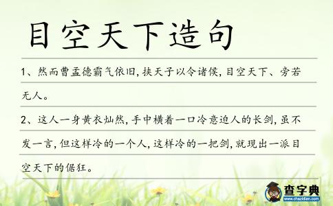 目空天下造句