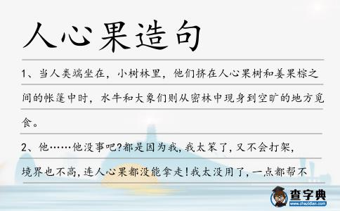 人心果造句
