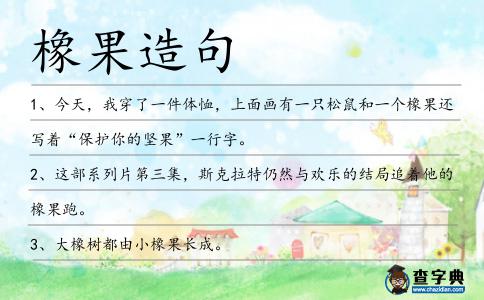 橡果造句