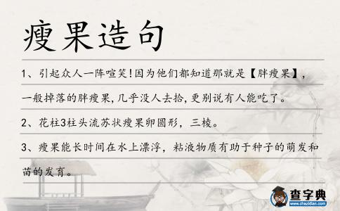 瘦果造句