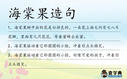 海棠果造句