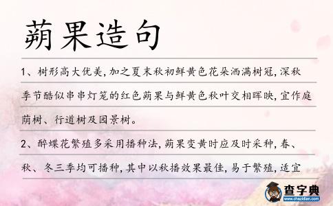 蒴果造句