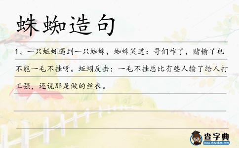 蛛蜘造句