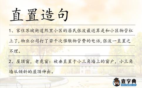 直置造句