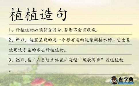 植植造句