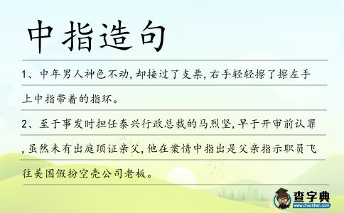 中指造句