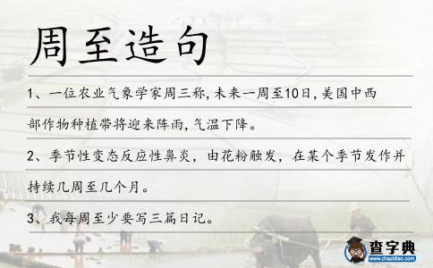 周至造句