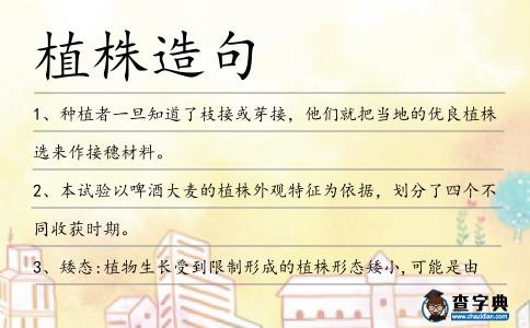 植株造句
