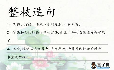 整枝造句