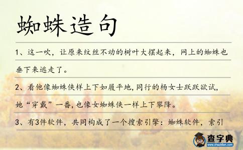 蜘蛛造句