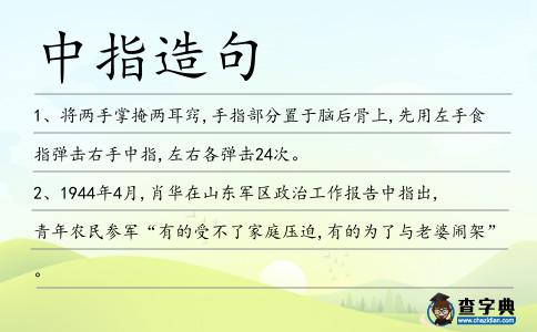 中指造句
