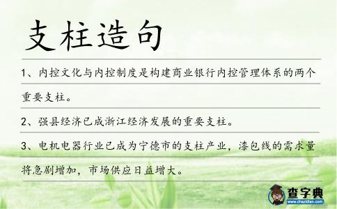 支柱造句